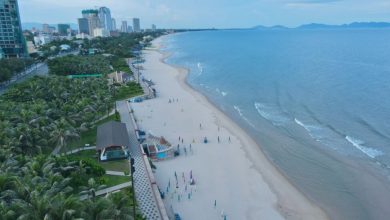 REVIEW Bãi Tắm Long Cung Vũng Tàu Địa điểm nghỉ dưỡng chất lượng 2023