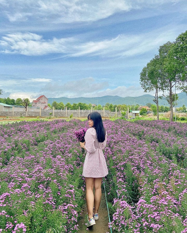 Thung lũng hoa đẹp nhất nhì Vũng Tàu