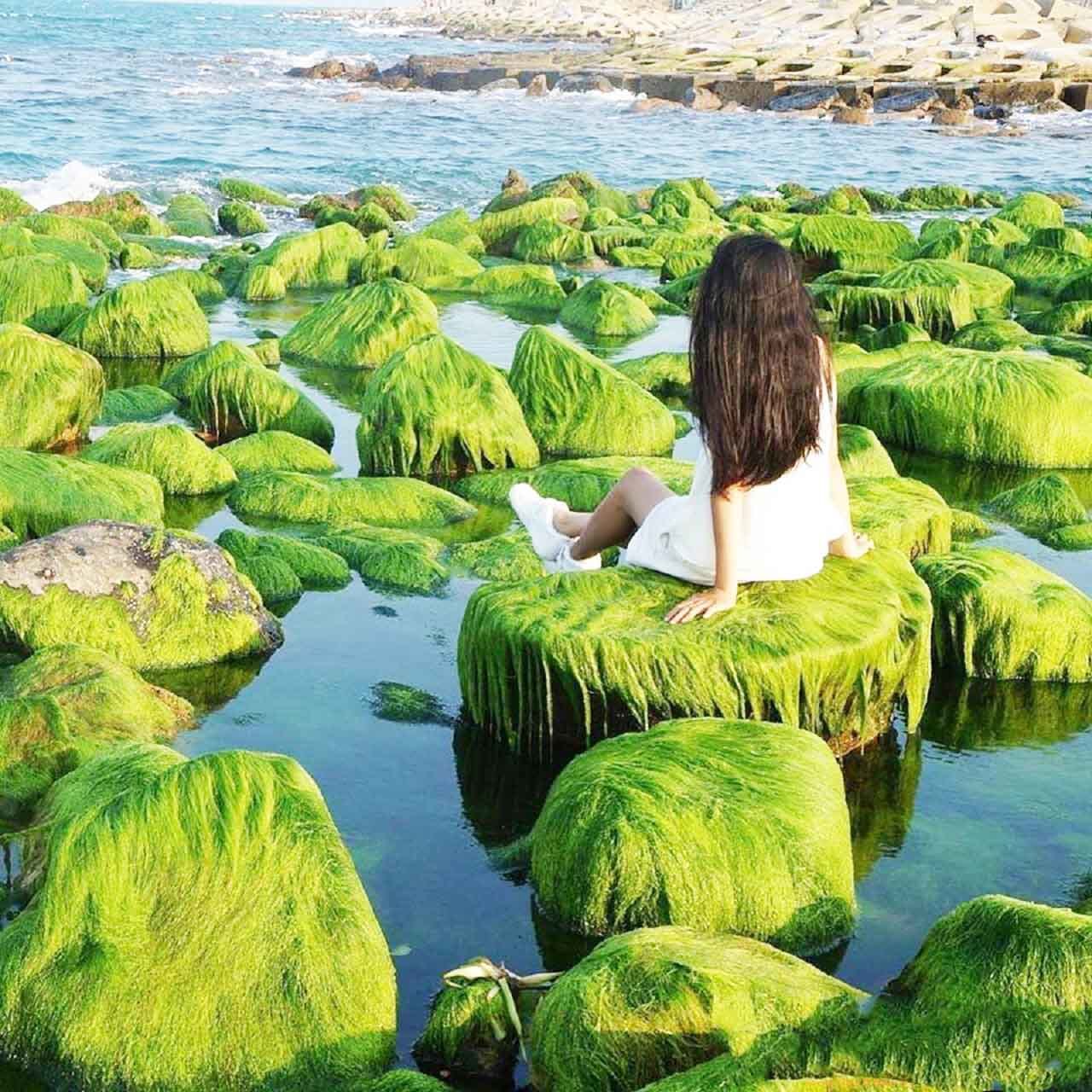 Ghé thăm bãi rêu xanh Xóm Rớ độc đáo tại Phú Yên