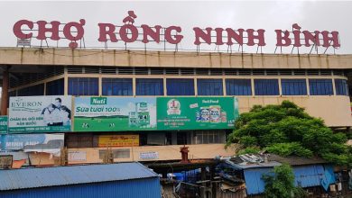 KINH NGHIỆM ĐI chợ Rồng Ninh Bình cập nhật 2023