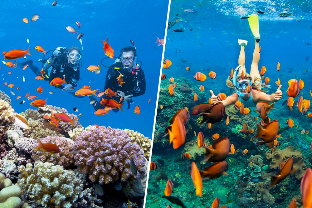 Câu cá – Tắm biển – Lặn ngắm san hô – Du lịch Phú Quốc 3 Ngày 2 Đêm