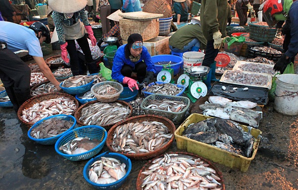 Chợ Dương Đông Thiên đường hải sản Phú Quốc