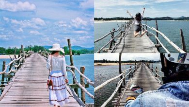 Cầu Ông Cọp Check in cây cầu gỗ dài nhất Việt Nam