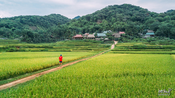 Cuối tuần qua, tại khu bảo tồn thiên nhiên Pù Luông, Thanh Hóa đã diễn ra giải chạy marathon quốc tế Vietnam Jungle Marathon. Đây là lần thứ hai giải chạy được tổ chức ở đây, với sự tham gia của gần 1.000 vận động viên đến từ 40 quốc gia khác nhau. Trong đó có Đại sứ Anh tại Việt Nam, Giles Lever