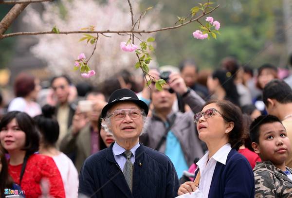 Sáng 20/3, hàng nghìn người dân thủ đô Hà Nội đổ về khu vực tượng đài Lý Thái Tổ để chiêm ngưỡng hoa anh đào Nhật Bản.