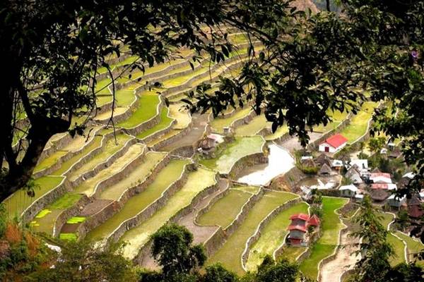 Du lịch Philippines chiêm ngưỡng ruộng bậc thang 2.000 năm tuổi