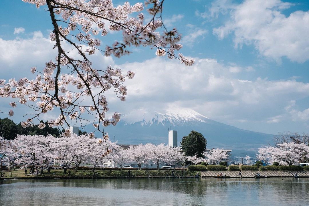 Khám phá vẻ đẹp đầy sắc màu của “Xứ sở Phù Tang” trong tour Nhật Bản 5N4Đ