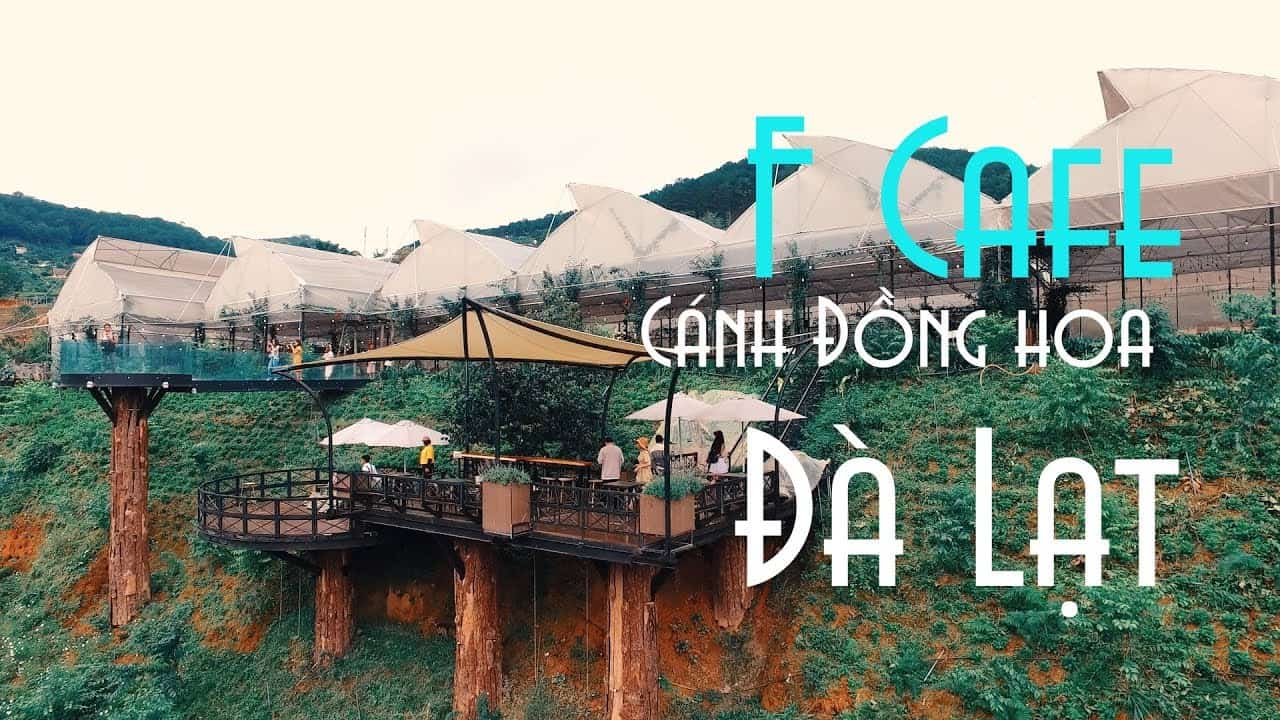 Cafe F Cánh đồng hoa Đà Lạt