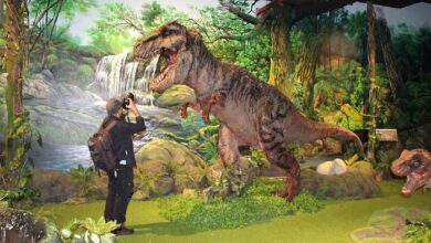 Công viên khủng long JPark Sài Gòn- Thiên đường giải trí thời tiền sử